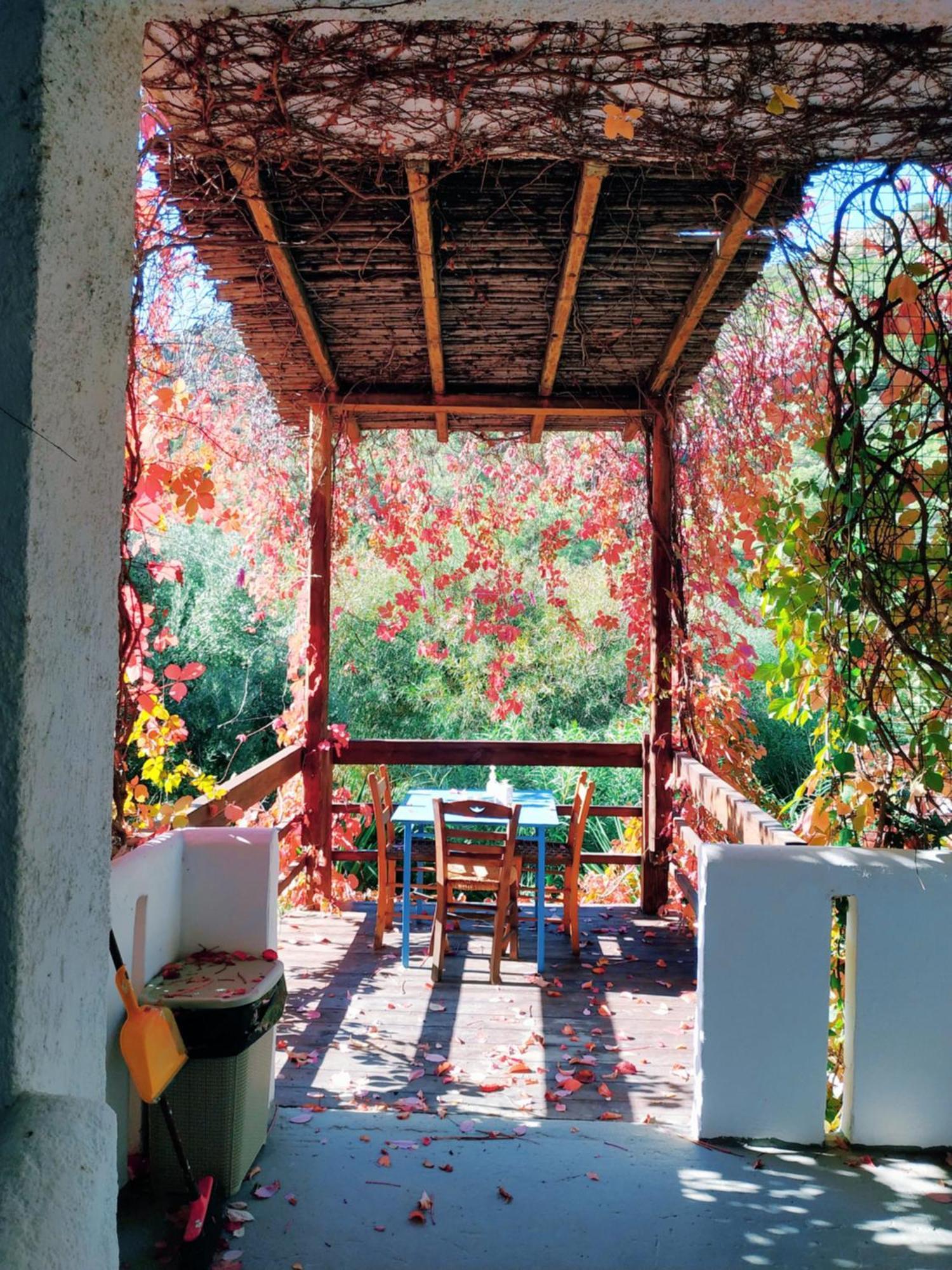 פרמאנה Oleander'S Garden Traditional Cretan Cottage מראה חיצוני תמונה