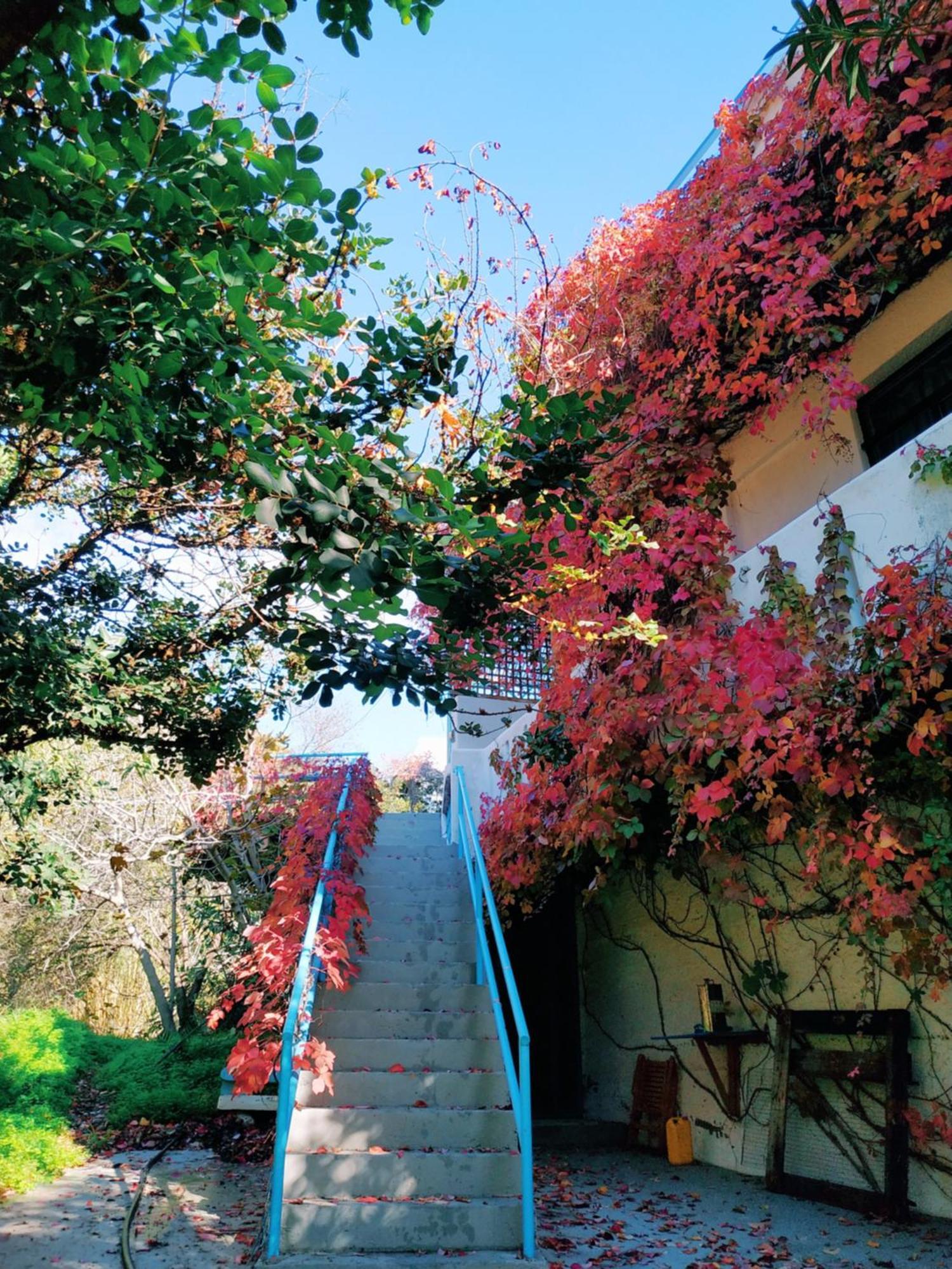 פרמאנה Oleander'S Garden Traditional Cretan Cottage מראה חיצוני תמונה