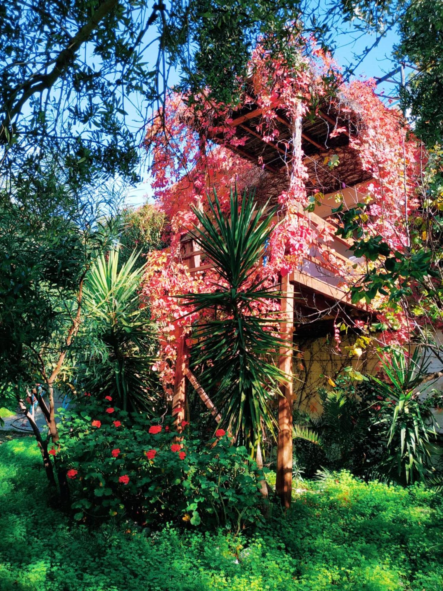 פרמאנה Oleander'S Garden Traditional Cretan Cottage מראה חיצוני תמונה