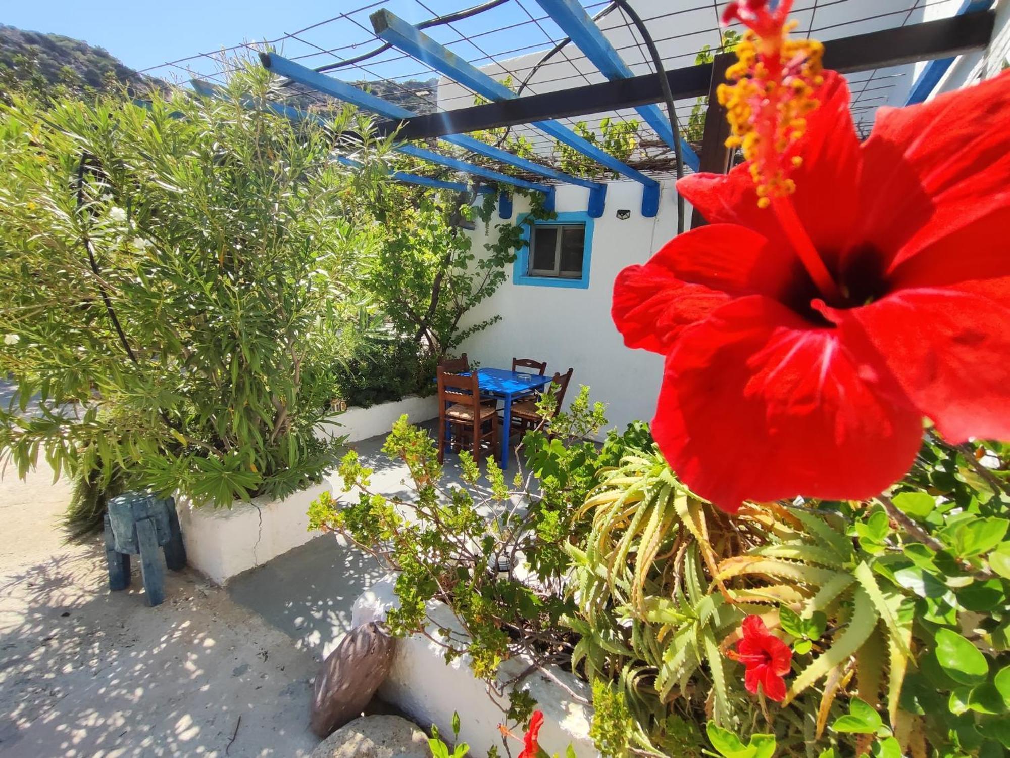 פרמאנה Oleander'S Garden Traditional Cretan Cottage מראה חיצוני תמונה