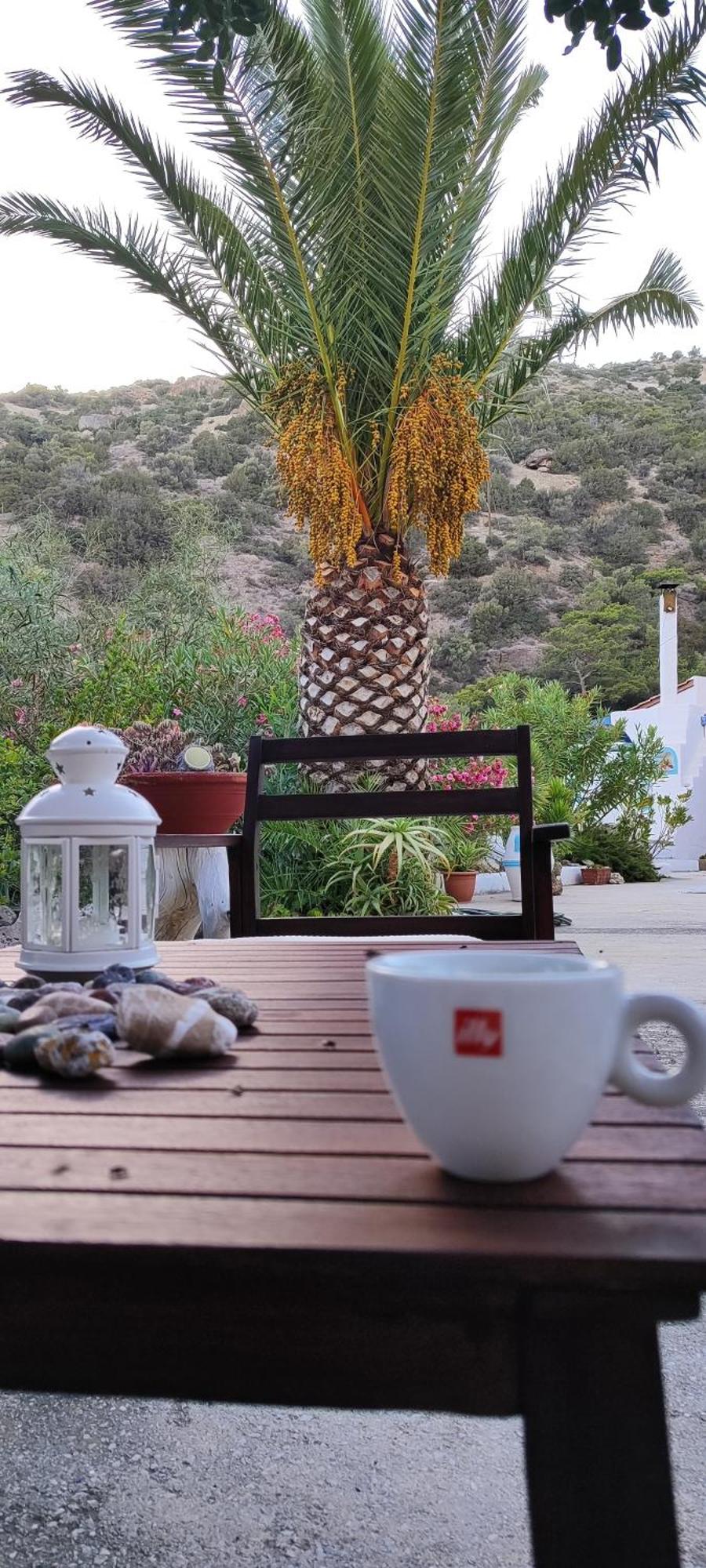 פרמאנה Oleander'S Garden Traditional Cretan Cottage מראה חיצוני תמונה