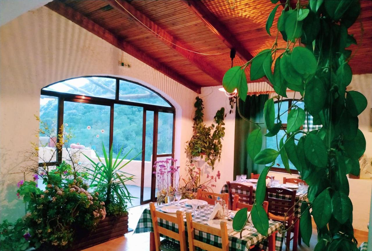 פרמאנה Oleander'S Garden Traditional Cretan Cottage מראה חיצוני תמונה